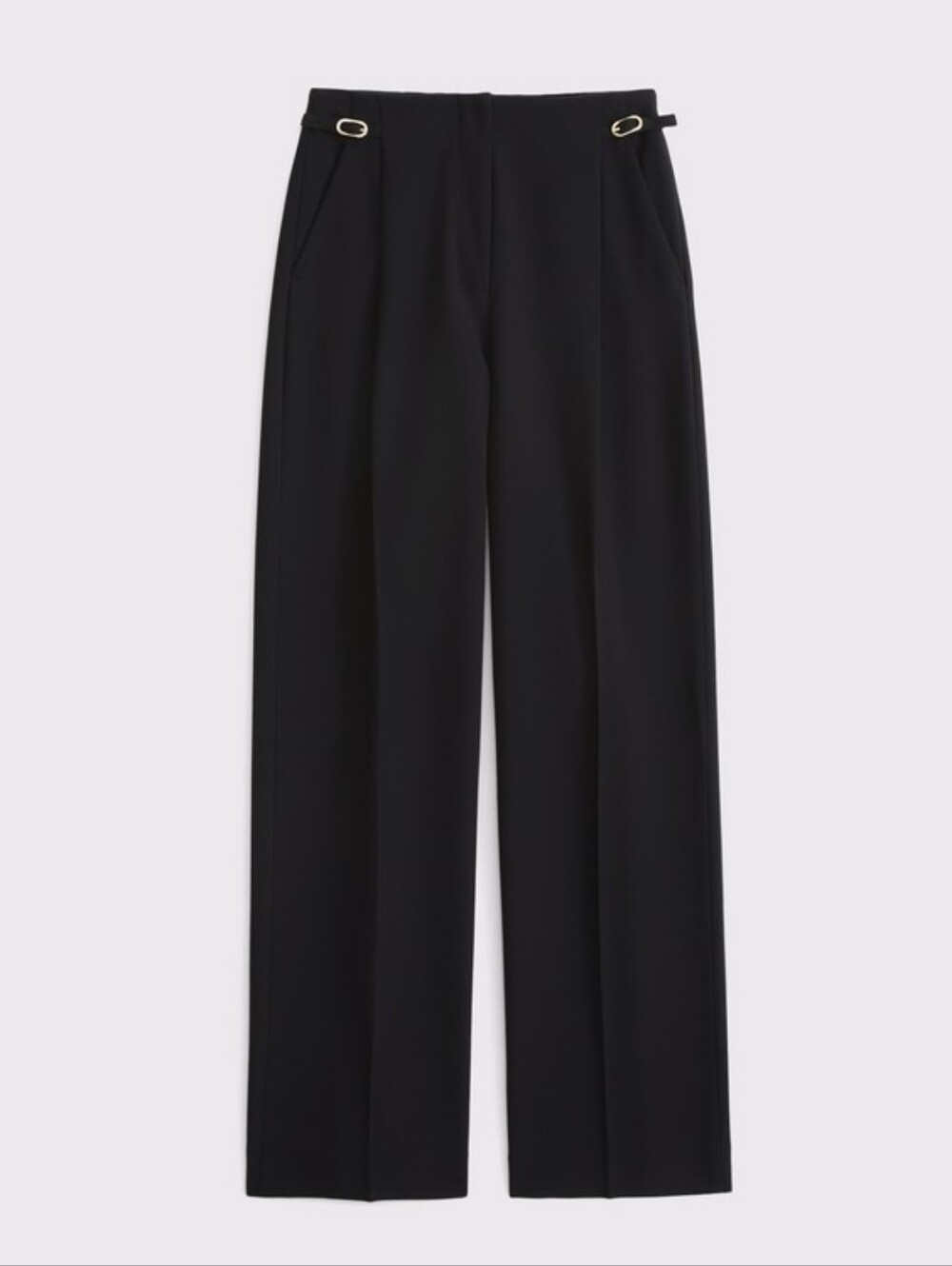 A&F Sloane Tailored Hardware Wide Leg Pant
